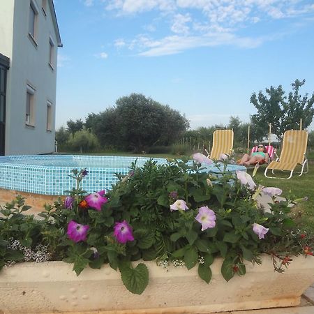 Apartments Zdravac 우마그 외부 사진